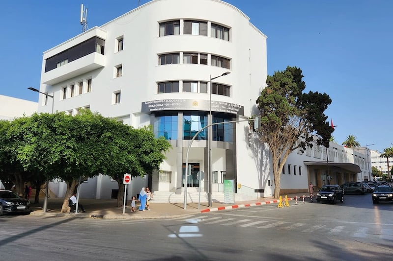 بعثة تجارية برازيلية تقصد المملكة
