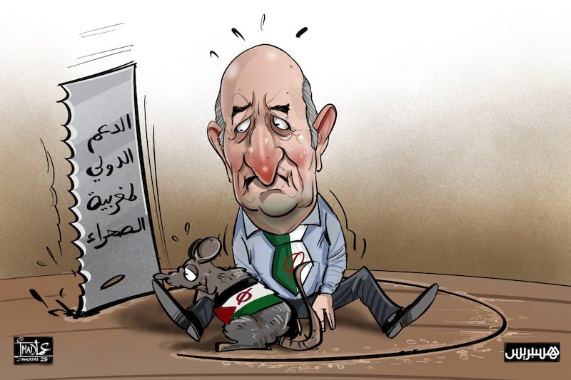 الإجماع الدولي حول الحكم الذاتي يفضح ازدواجية هياكل الأمم المتحدة