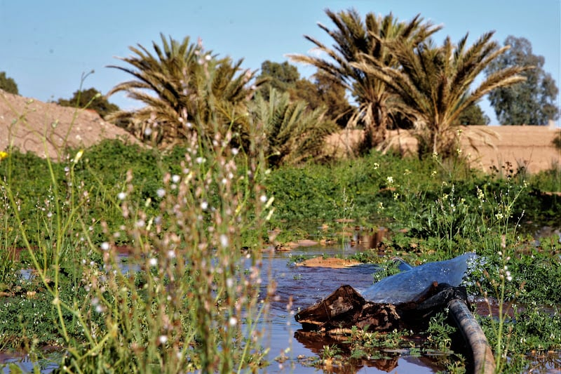 توقعات طقس اليوم السبت بالمغرب