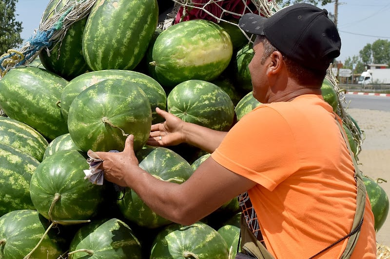 أسواق الدلاح تستفيد من وفرة الإنتاج